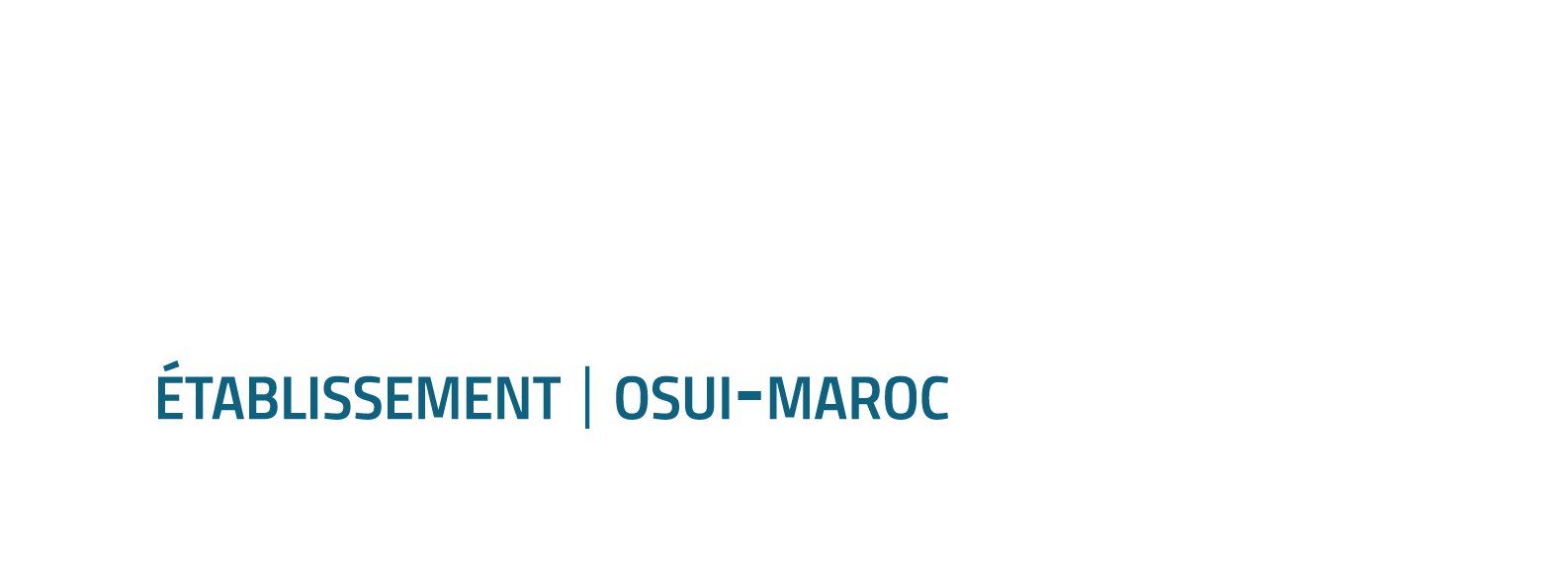 Logo MLF